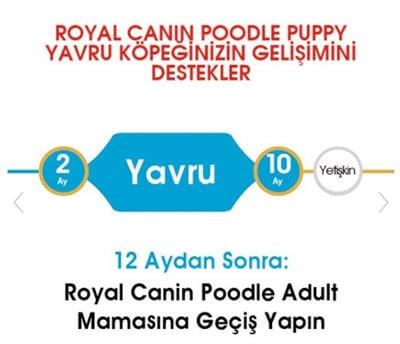 Royal Canin Puppy Poodle  Yavru Köpek Maması 3kg