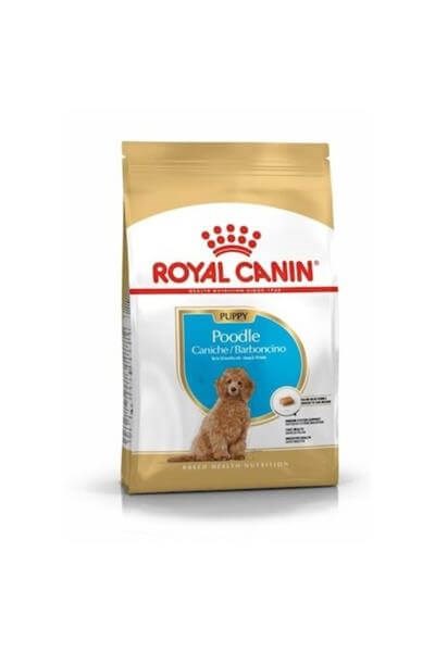 Royal Canin Puppy Poodle  Yavru Köpek Maması 3kg