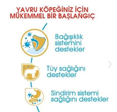 Royal Canin Puppy Poodle  Yavru Köpek Maması 3kg