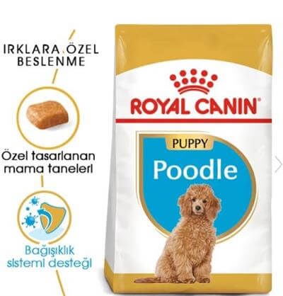 Royal Canin Puppy Poodle  Yavru Köpek Maması 3kg