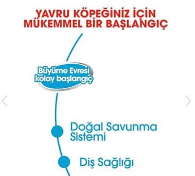 Royal Canin Starter Anne ve Yavru Köpek Konservesi 195gr