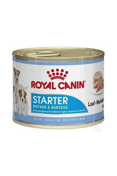 Royal Canin Starter Anne ve Yavru Köpek Konservesi 195gr
