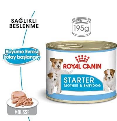 Royal Canin Starter Anne ve Yavru Köpek Konservesi 195gr