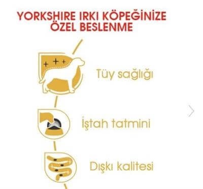 Royal Canin Yorkshire Terrier Yetişkin Köpek Konservesi 85gr