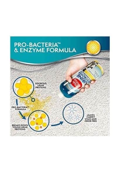 Simple Solutıon Bahar Esintili Leke Ve Koku Giderici Sprey 750