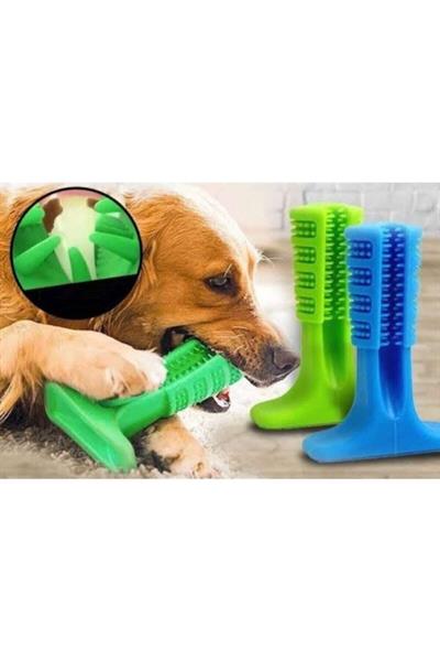 Welfre Diş Fırçası Köpek Çiğneme Oyuncağı 9,5 cm
