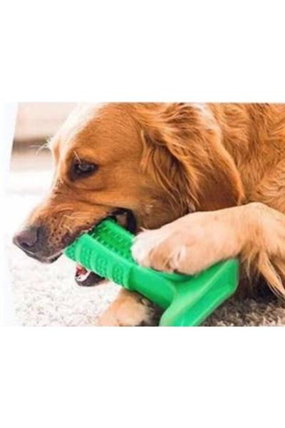 Welfre Diş Fırçası Köpek Çiğneme Oyuncağı 9,5 cm