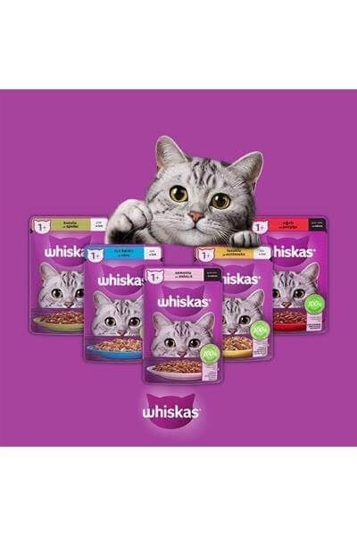 Whiskas Super karisik mega paket kedi mamasi 24 Adet