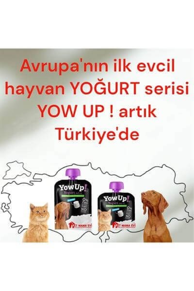 Yow Up Kediler İçin Yoğurt 85 Gr