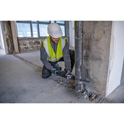 BOSCH 06016C0021 GSA 185-LI Akülü Kılıç Testere - Tilki Kuyruğu