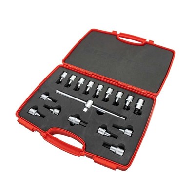 IZELTAS 1113006017 1/2 Allen Uçlu Lokma Takımı ve Torx Uç Set 17 Parça