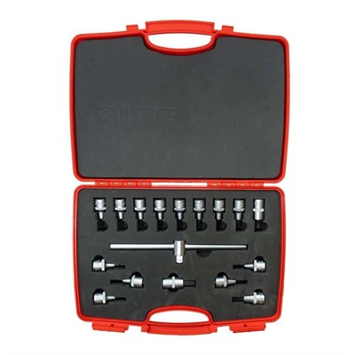 IZELTAS 1113006017 1/2 Allen Uçlu Lokma Takımı ve Torx Uç Set 17 Parça