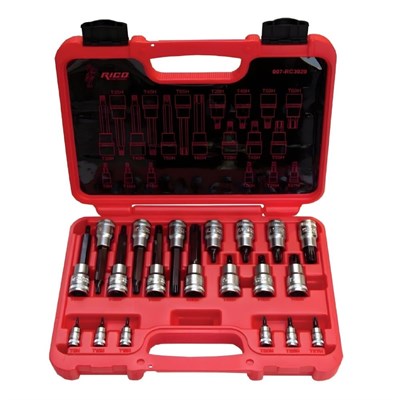 RICO 007-RC3029 007-RC3029 1/4 ve 1/2 Torx Uçlu Lokma Takımı Delikli 20 Parça