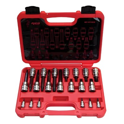 RICO 007-RC3029 1/4 Ve 1/2 Torx Uçlu Lokma Takımı Delikli 20 Parça