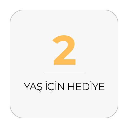 2 yaş için hediye