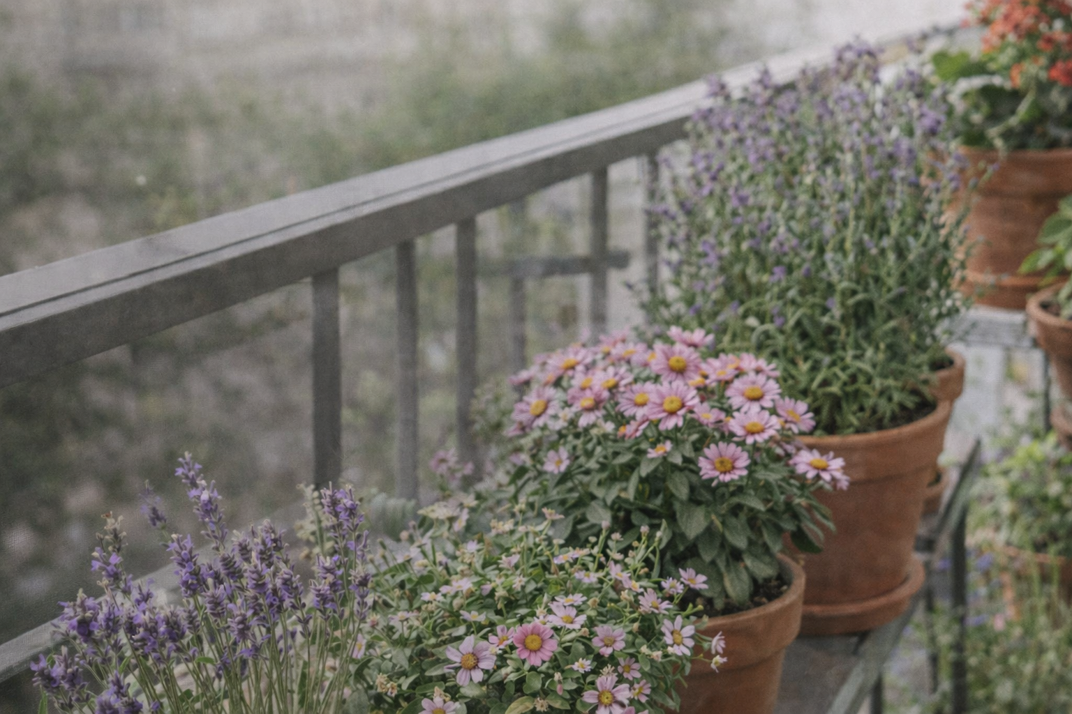 Balkon Bitkileri Bakımı