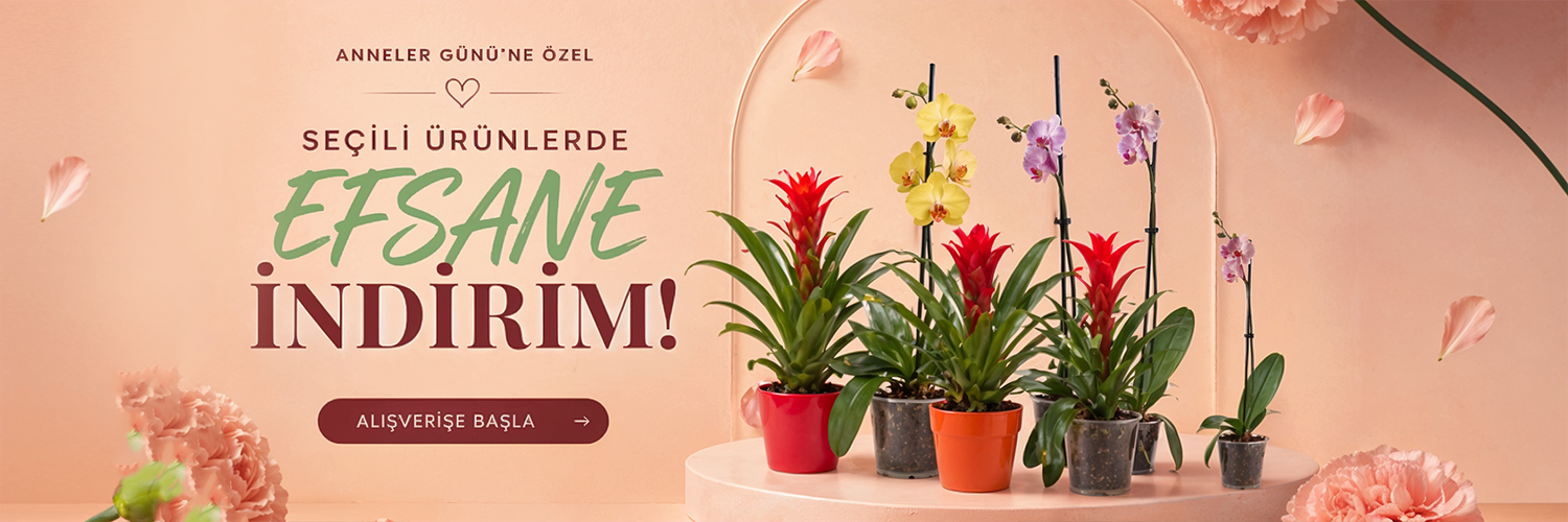Anneler Günü Kampanyası