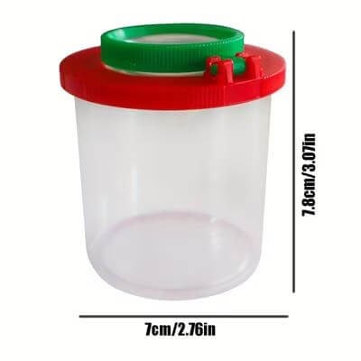 Böcek Gözlem Kutusu