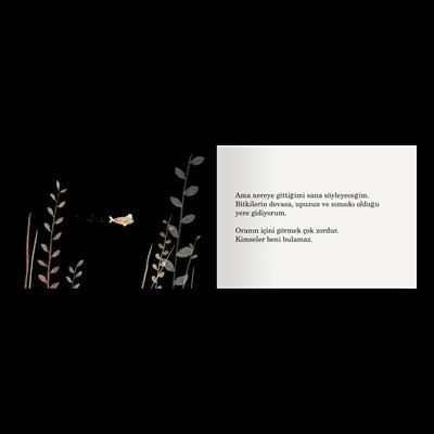 Bu Benim Şapkam Değil