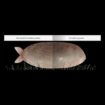 Bu Benim Şapkam Değil