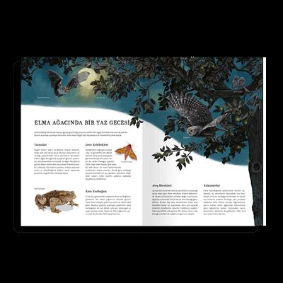 Doğanın Büyük Kitabı: Elma Ağacı