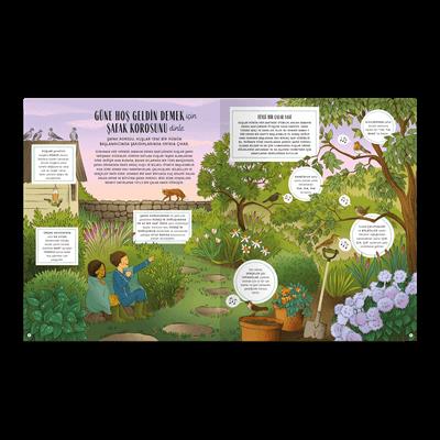 Doğanın Gizli İşaretleri