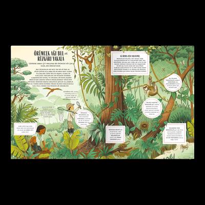 Doğanın Gizli İşaretleri