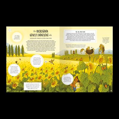 Doğanın Gizli İşaretleri