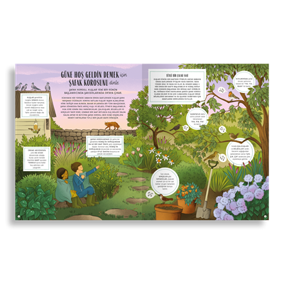 Keşif Seti (13 Ürün)