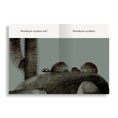 Şapka Üçlemesi | Jon Klassen (3 Kitap)