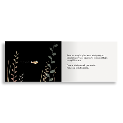 Şapka Üçlemesi | Jon Klassen (3 Kitap)
