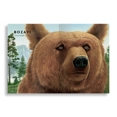 Tıpkısının Aynısı | Orman Hayvanları