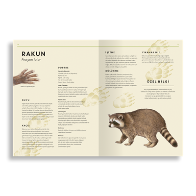 Tıpkısının Aynısı | Orman Hayvanları