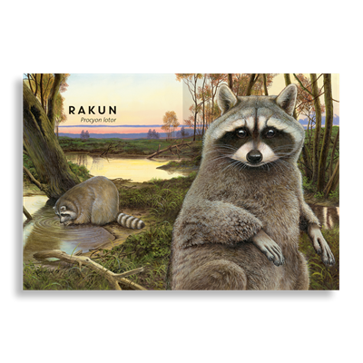 Tıpkısının Aynısı | Orman Hayvanları