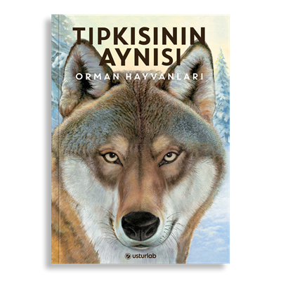Tıpkısının Aynısı | Orman Hayvanları