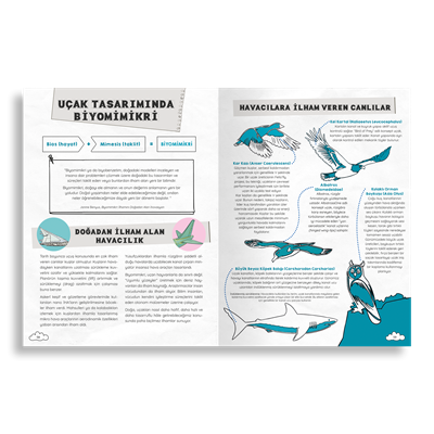 Uçak Nasıl Yapılır?