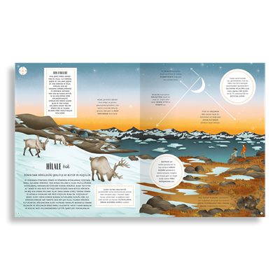 Yaban Hayatı ve Orman Kaşifi Seti (4 Ürün)