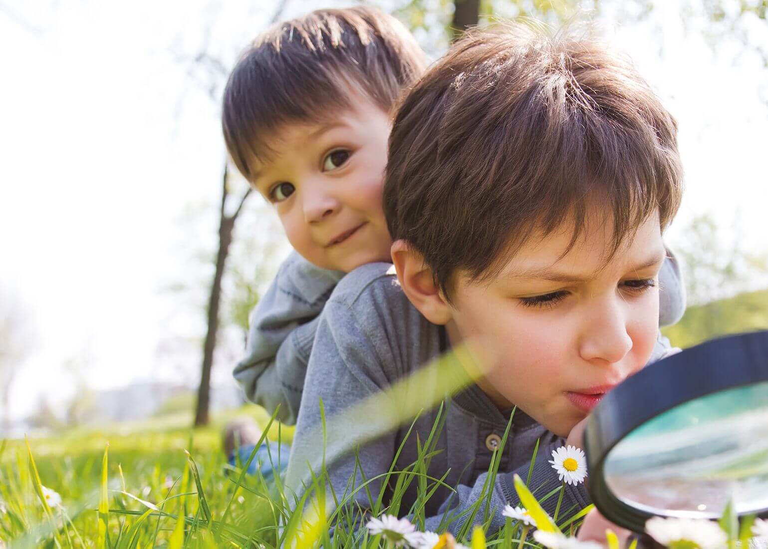 Doğa Sadece Ormanda mı?