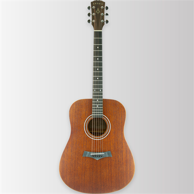 Arrow Raw Series Mahogany acoustic guitar