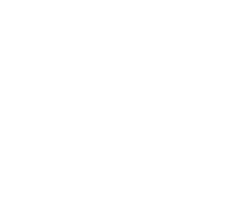 Art of Guitar