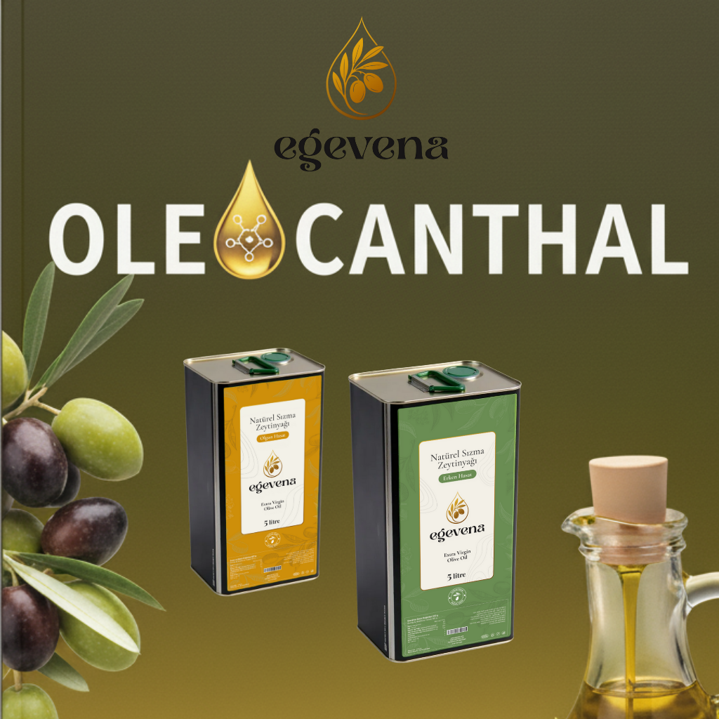 Oleocanthal (Oleokantal): Natürel Sızma Zeytinyağının Geniz Yakan Mucizevi Gücü