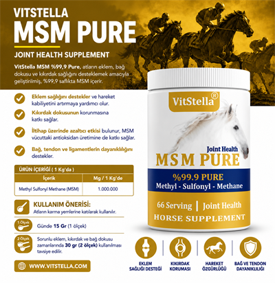 VitStella MSM %99.9 Pure 1 Kg
