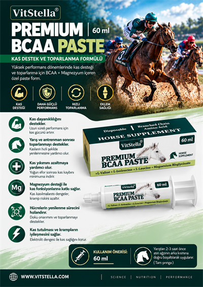 VitStella Premium BCAA 60 Ml Paste