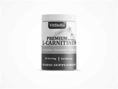 VitStella Premium L-Carnitine 1 Kg