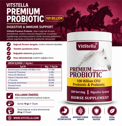 VitStella Premium Probiotic 1 Kg