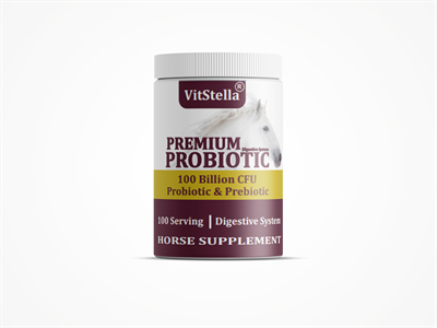 VitStella Premium Probiotic 1 Kg