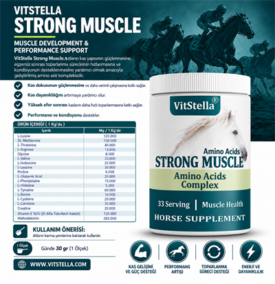 VitStella Strong Muscle 1 Kg