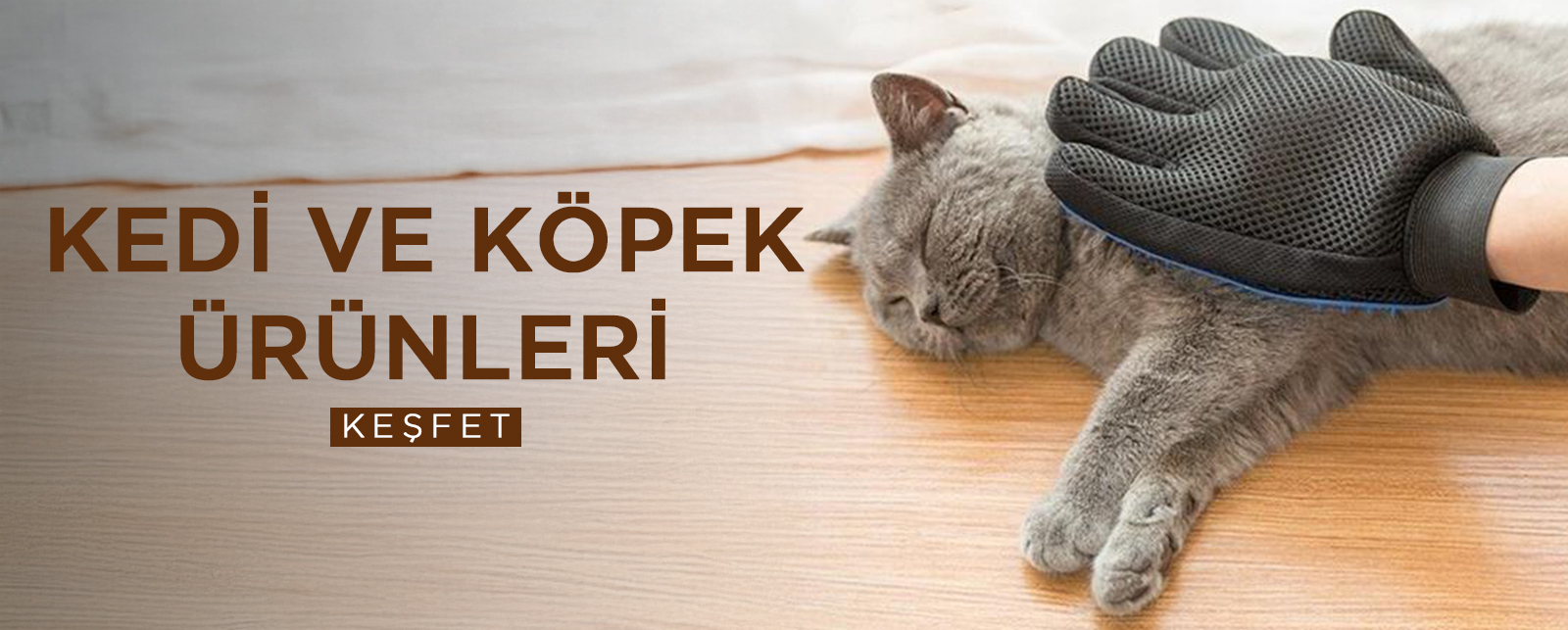 kedi ve köpek