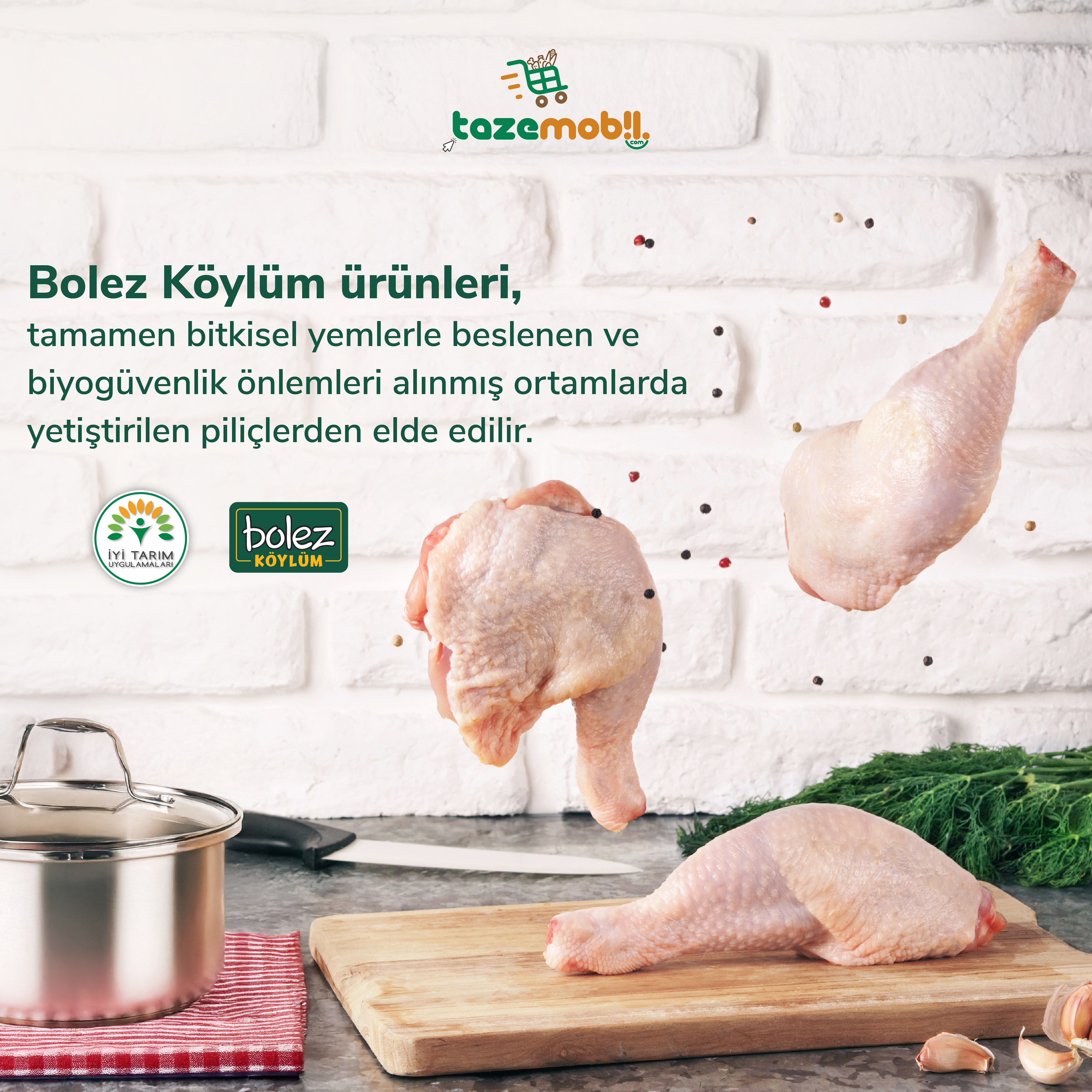 Bolez Köylüm Serisi'nin Tanıtımı