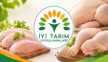 İyi Tarım Uygulamaları (İTU) Nedir?